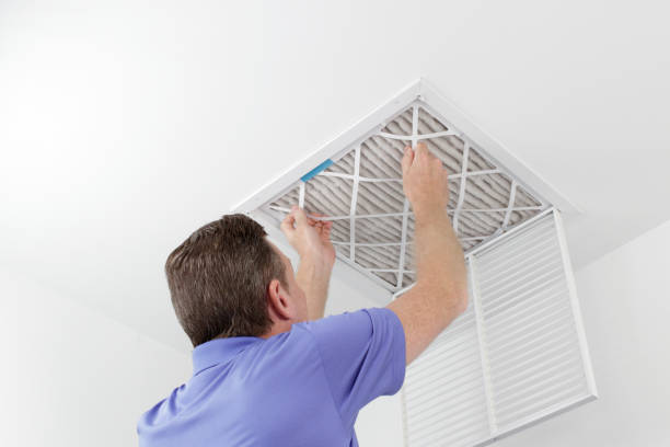 Best Professional Duct Cleaning Services  in Pearland, TX
